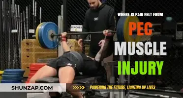 Pec Muscle Injury Pain: Where It's Felt and How to Manage It