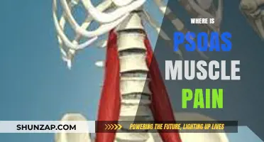 Understanding Psoas Muscle Pain: Location, Causes, and Relief Strategies