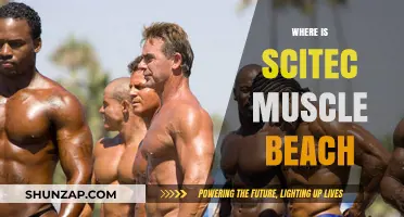 Scitec's Muscle Beach: A Global Fitness Sensation