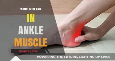 Where Does Ankle Muscle Pain Originate? Causes and Locations Explained