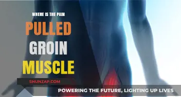 Pulled Groin Muscle Pain: Location, Causes, and Relief Strategies