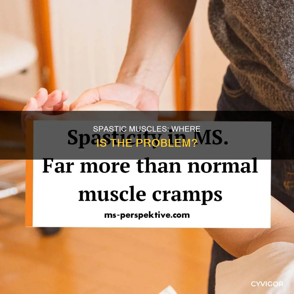 where is the spastic muscle