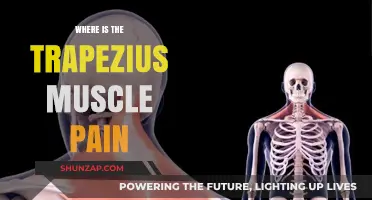 Understanding Trapezius Muscle Pain: Causes, Locations, and Relief Strategies