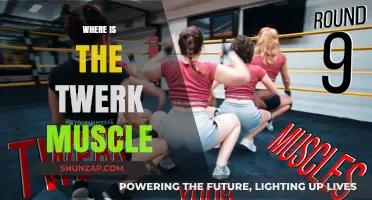 Twerk Muscles: Where Are They Located?