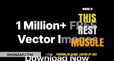 Finding Rest Muscle: The Ultimate Guide to Relaxation