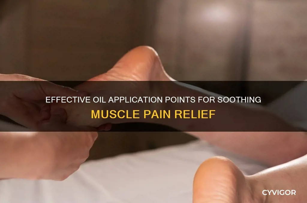 where to apply oils for muscle pain