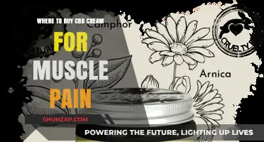 Best Places to Buy CBD Cream for Muscle Pain Relief