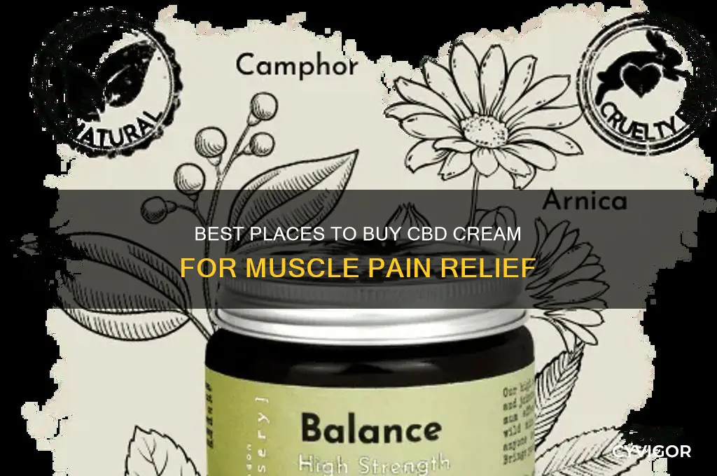 where to buy cbd cream for muscle pain