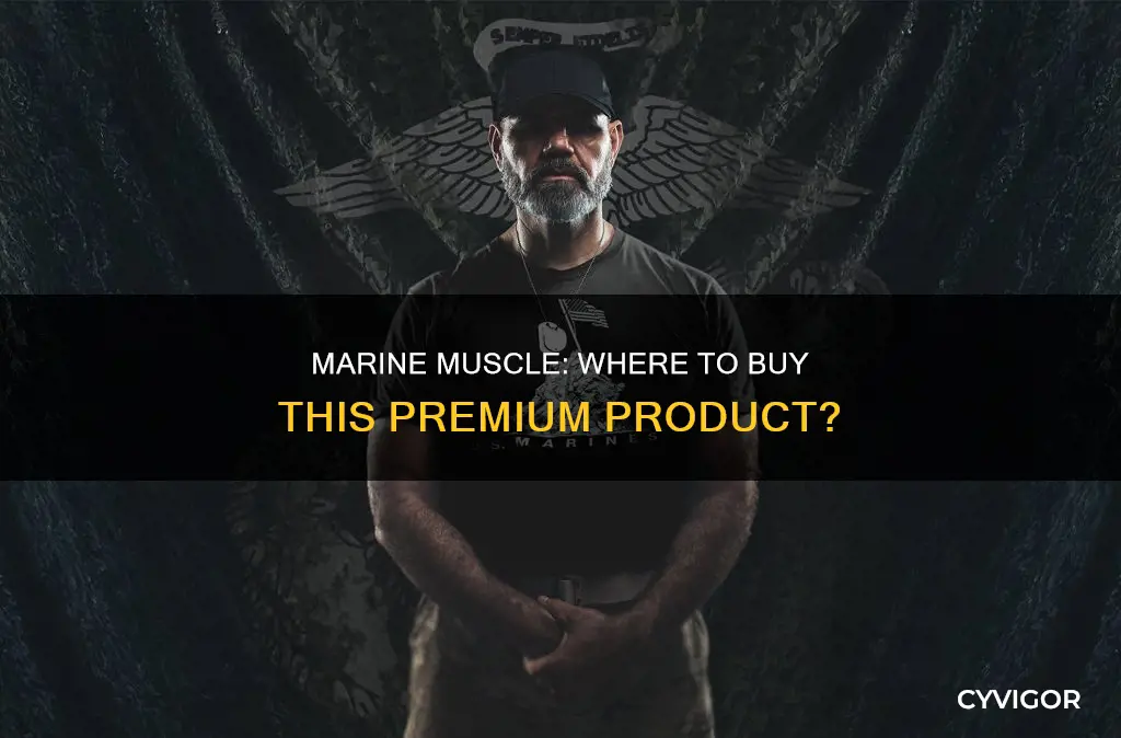 where to buy marine muscle