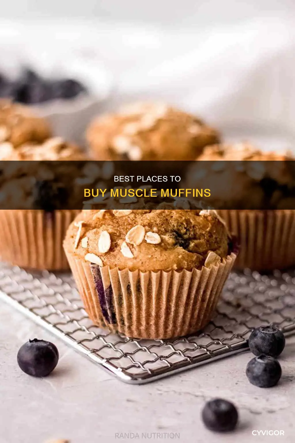 where to buy muscle muffins