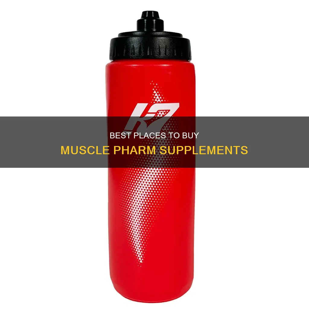 where to buy muscle pharm