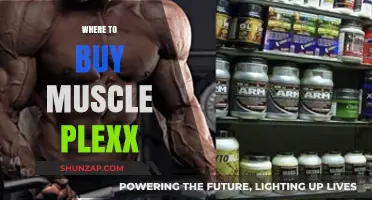 Best Places to Buy Muscle Plexx