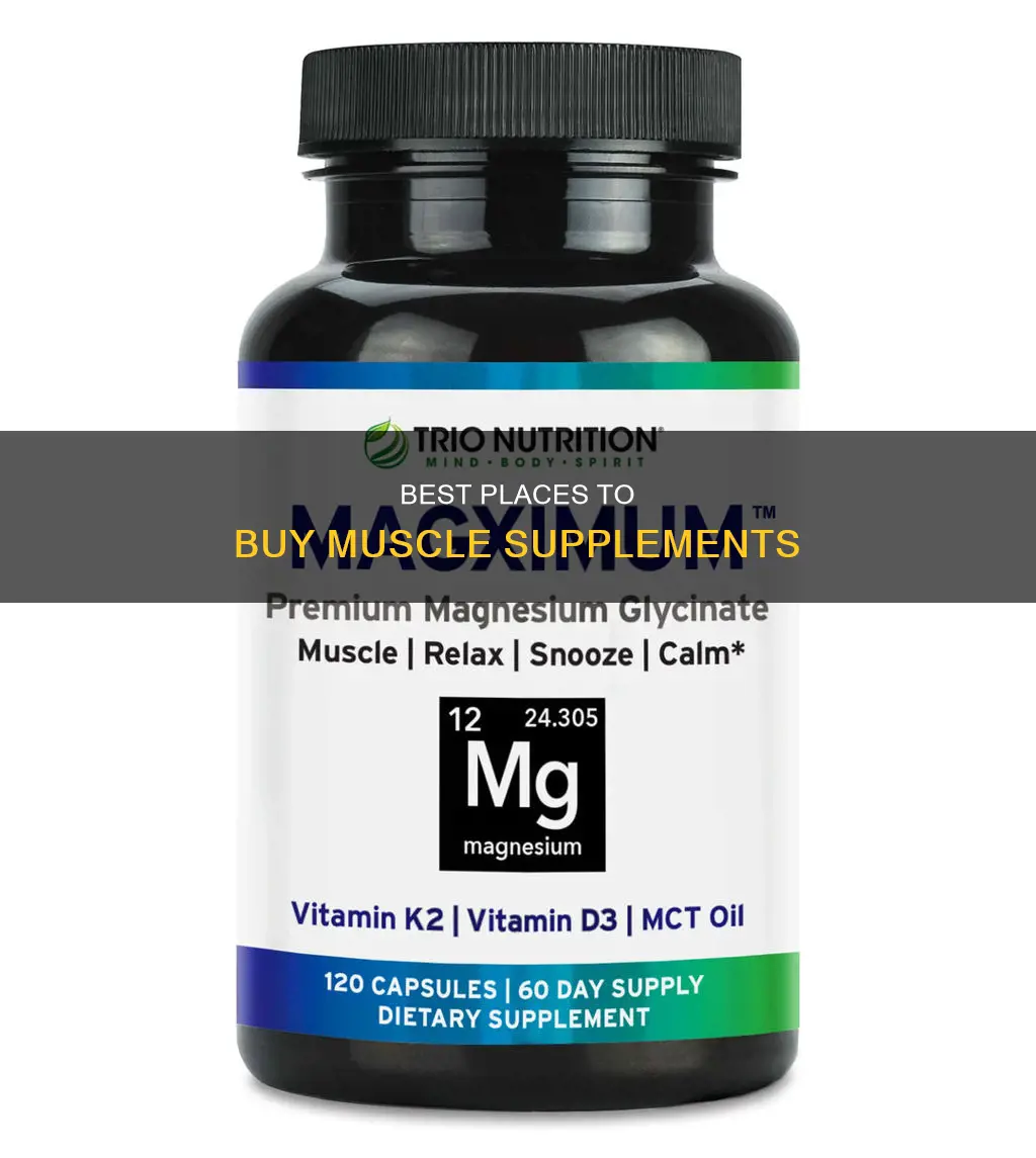 where to buy muscle supplement