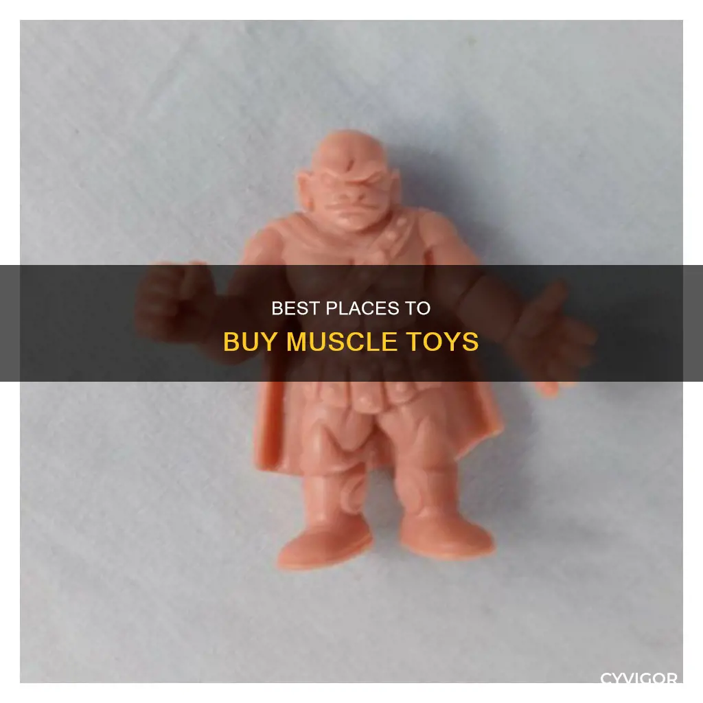 where to buy muscle toys