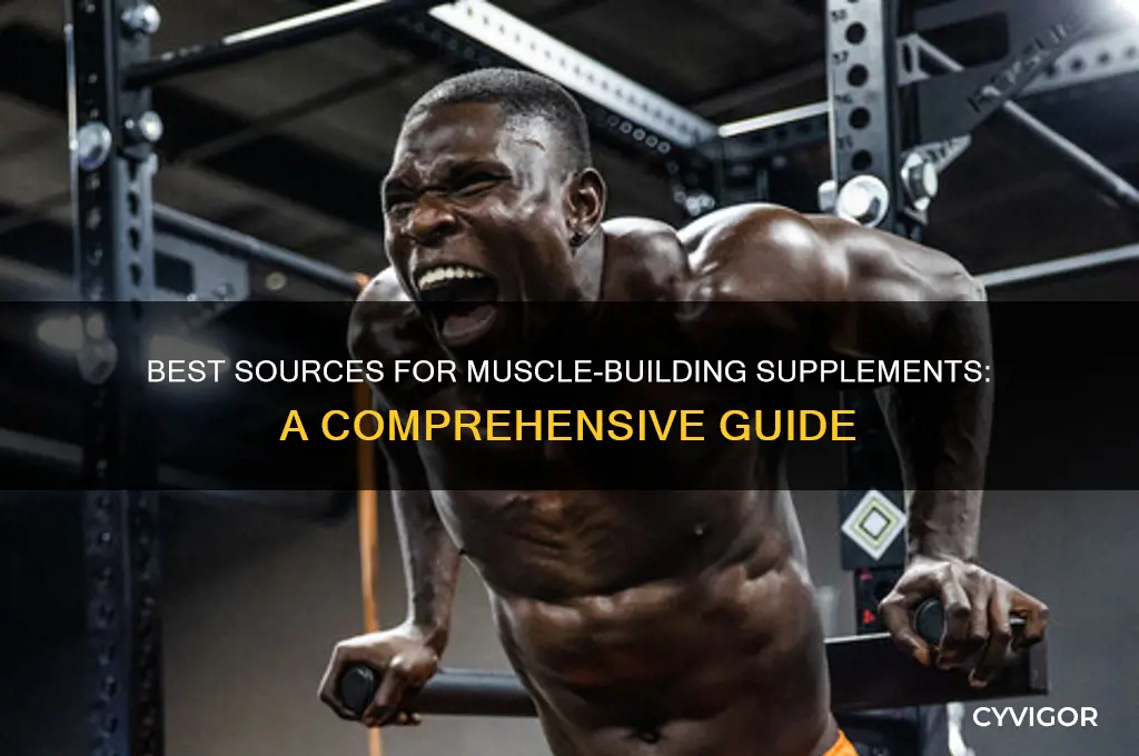 where to find drugs to gain muscle