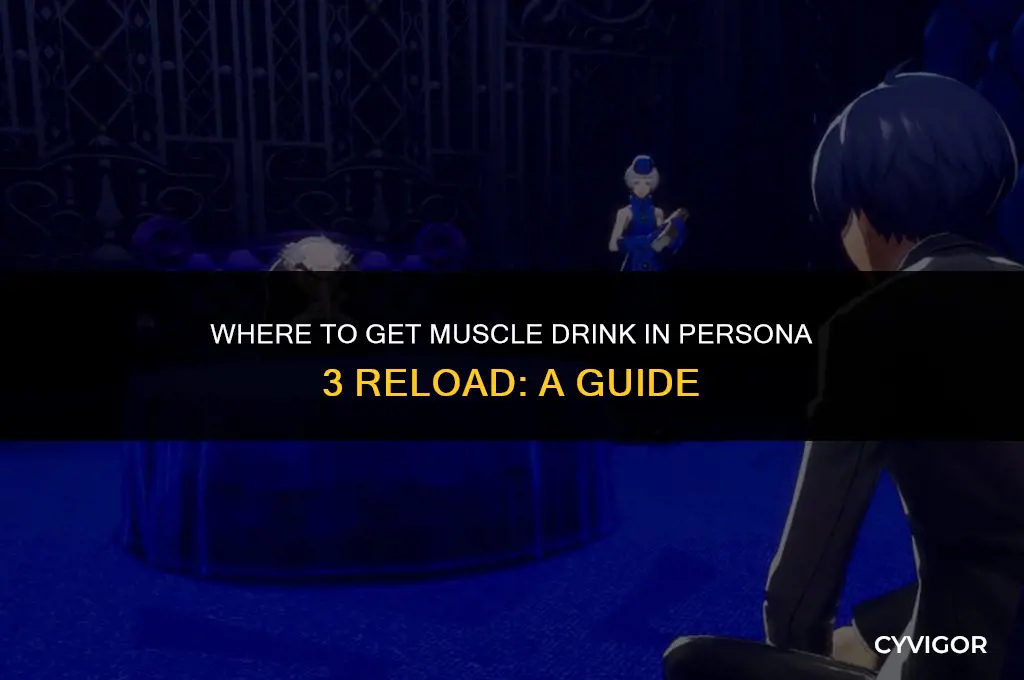 where to get muscle drink persona 3 reload