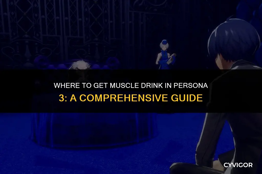 where to get muscle drink persona 3