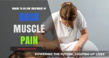 Effective Back Muscle Pain Treatment: Top Locations and Therapies to Consider