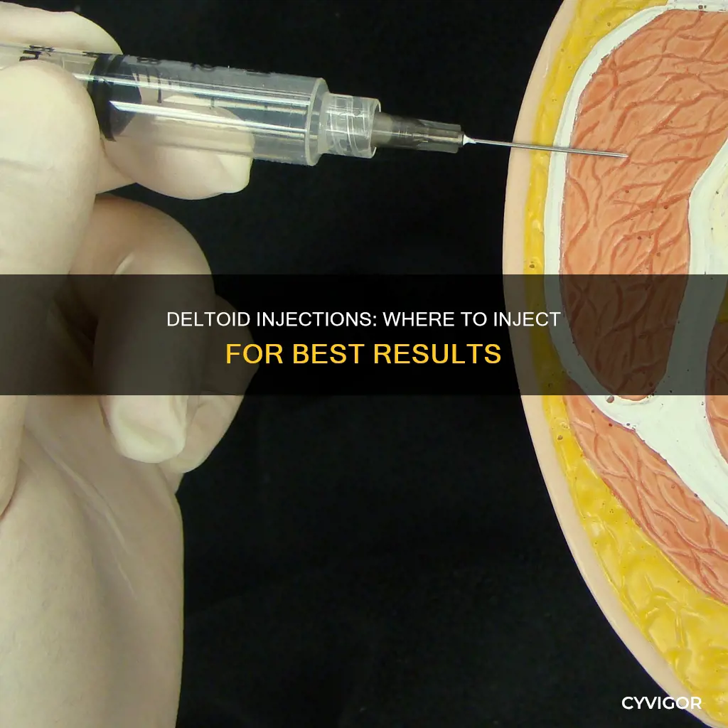 where to inject deltoid muscle