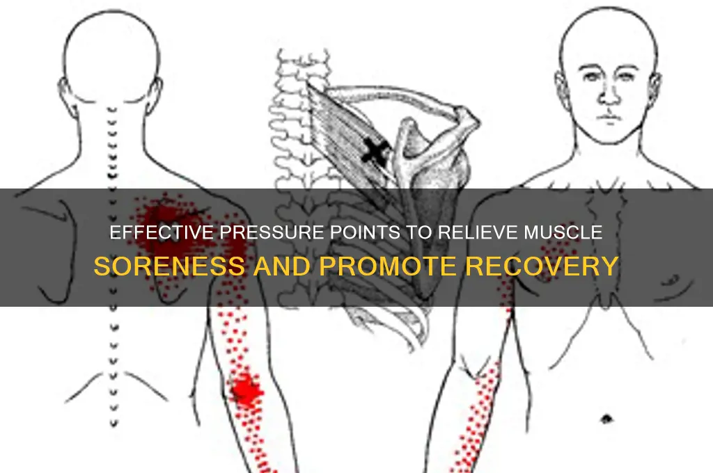 where to press for muscle sore