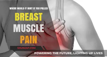 Breast Muscle Pain: Identifying Where It Hurts When Pulled