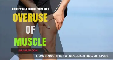 Overuse Muscle Pain: Identifying Aches from Repetitive Strain and Activity