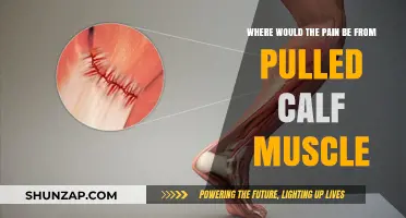 Pulled Calf Muscle Pain: Location, Symptoms, and Relief Tips