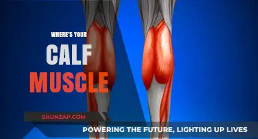 Unveiling the Hidden Strength: A Journey to Discover Your Calf Muscles