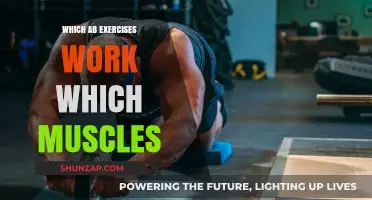Targeted Ab Workouts: Understanding Muscle Engagement for a Stronger Core