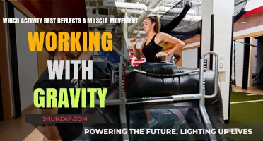 Gravity-Assisted Muscle Movements: Which Activity Enhances Strength Naturally?