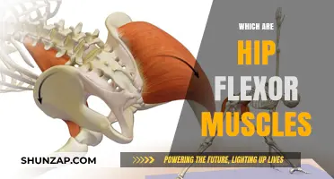 Unlocking Hip Flexors: Understanding the Powerful Psoas
