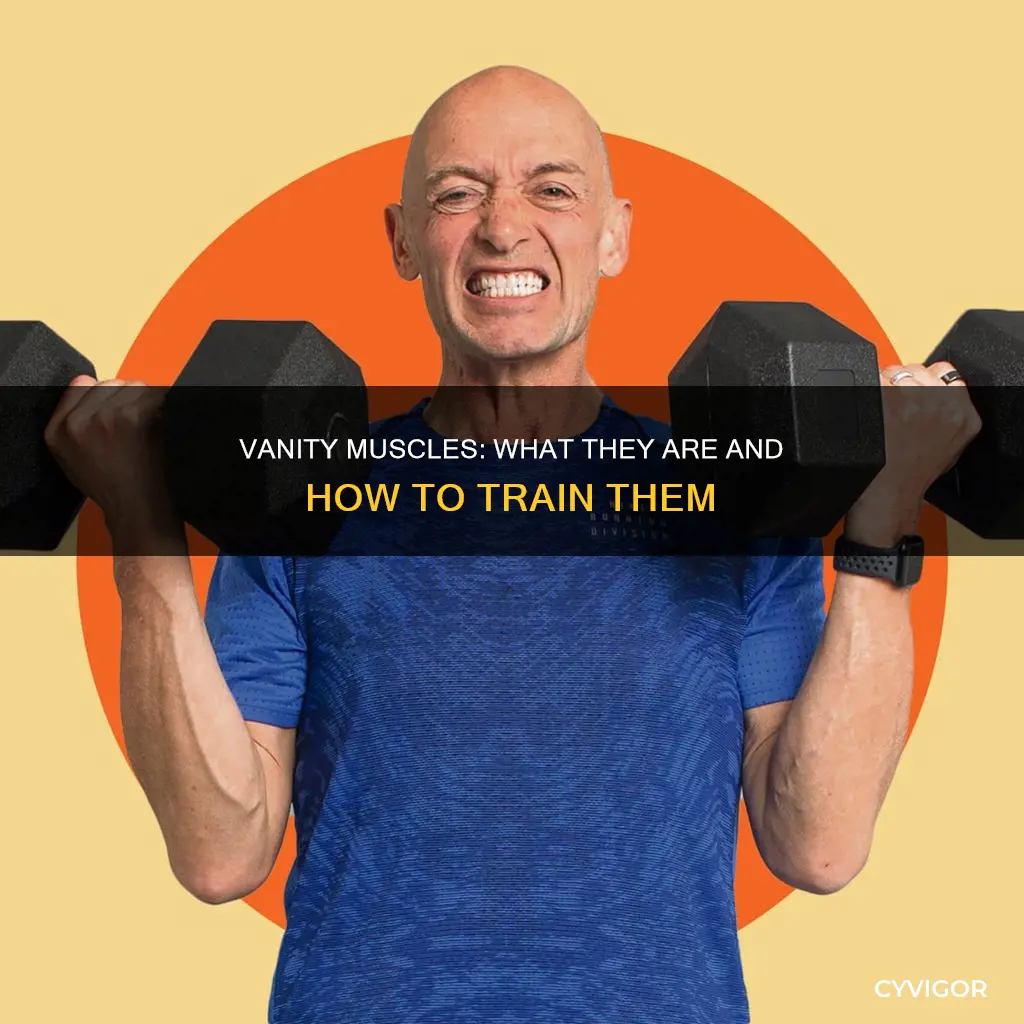 which are vanity muscles