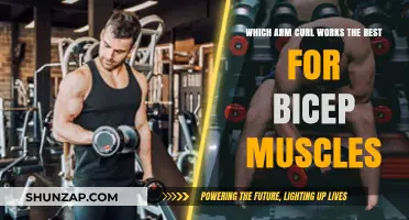 Best Arm Curl Techniques to Maximize Bicep Muscle Growth