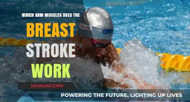 Breaststroke Benefits: Targeted Arm Muscles for Strength and Endurance