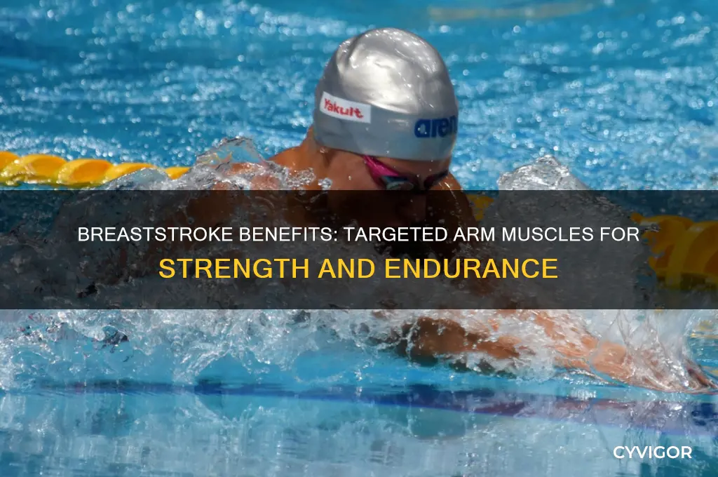 which arm muscles does the breast stroke work