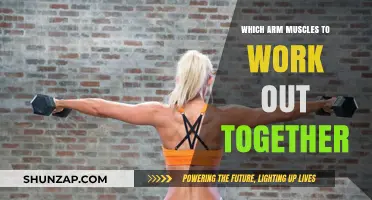 Effective Arm Workout: Pairing Biceps, Triceps, and Forearms for Results