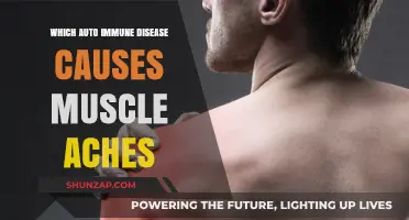 Autoimmune Diseases Linked to Persistent Muscle Aches: What You Need to Know