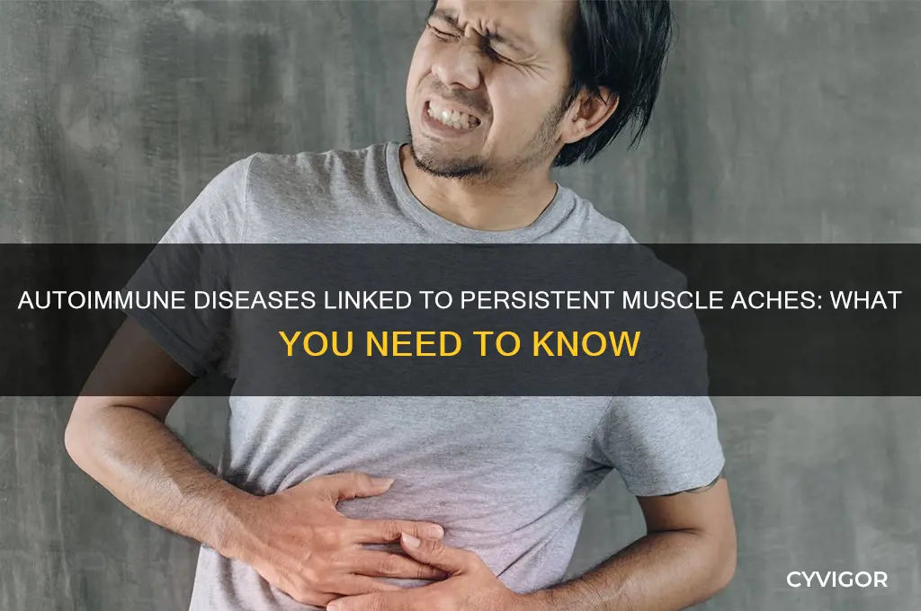 which auto immune disease causes muscle aches