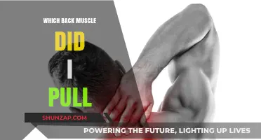 Identifying Pulled Back Muscles: Causes, Symptoms, and Recovery Tips