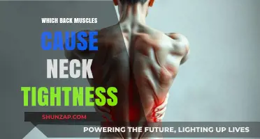 Neck Tightness Explained: Key Back Muscles and Their Impact