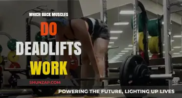 Deadlifts: Targeting Key Back Muscles for Strength and Stability