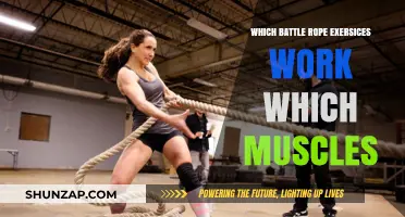 Battle Rope Workouts: Targeted Muscle Engagement Explained