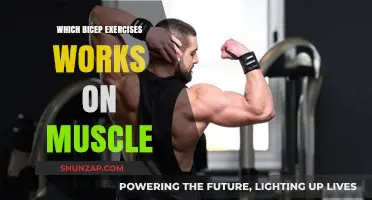 Effective Bicep Exercises to Maximize Muscle Growth and Strength