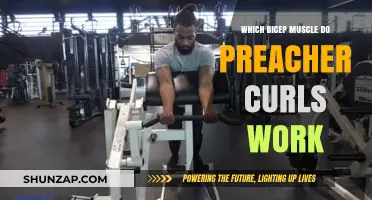 Preacher Curls: Targeting the Biceps for Maximum Muscle Growth