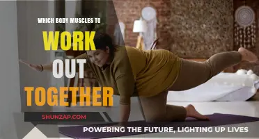 Effective Muscle Pairing: Optimize Your Workouts with Smart Group Training