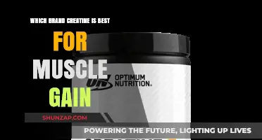Top Creatine Brands for Optimal Muscle Gain: Expert Recommendations
