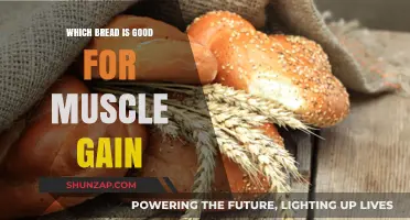 Best Breads for Muscle Gain: Fuel Your Workouts and Recovery