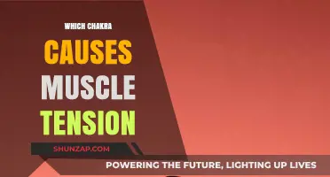 Root Chakra Imbalance: Unraveling Muscle Tension and Physical Stress