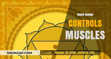 Unlocking Muscle Control: The Chakra Dimension
