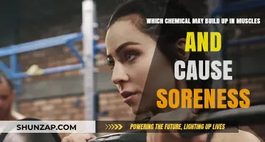 Lactic Acid Buildup: The Muscle Soreness Culprit Explained